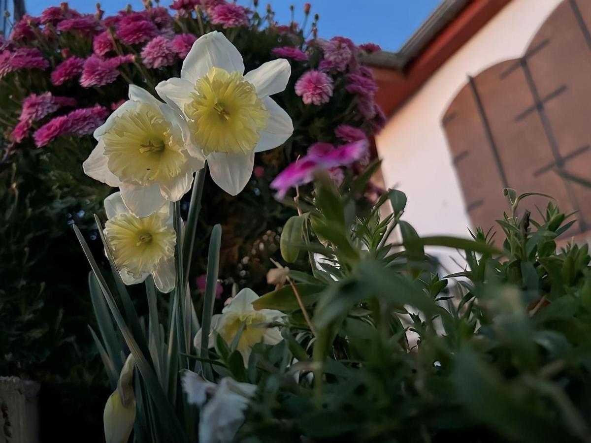 Casa Rural Vistablanca En Una Sola Planta Con Bonitas Vistas Y Piscina - Junto A La Capital Y La Alhambra 塞内斯·德拉维加 外观 照片